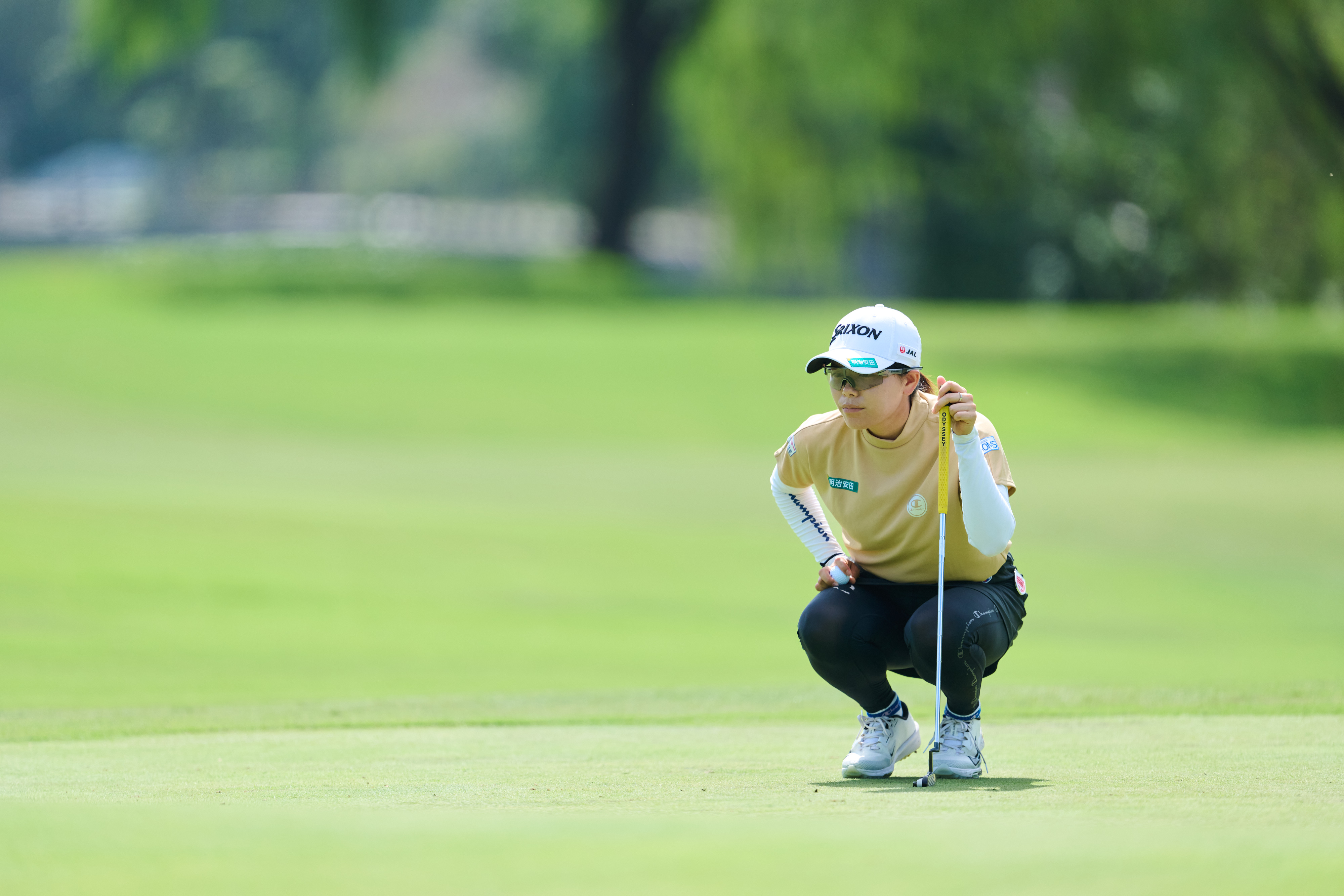 https, img, https https, img, https