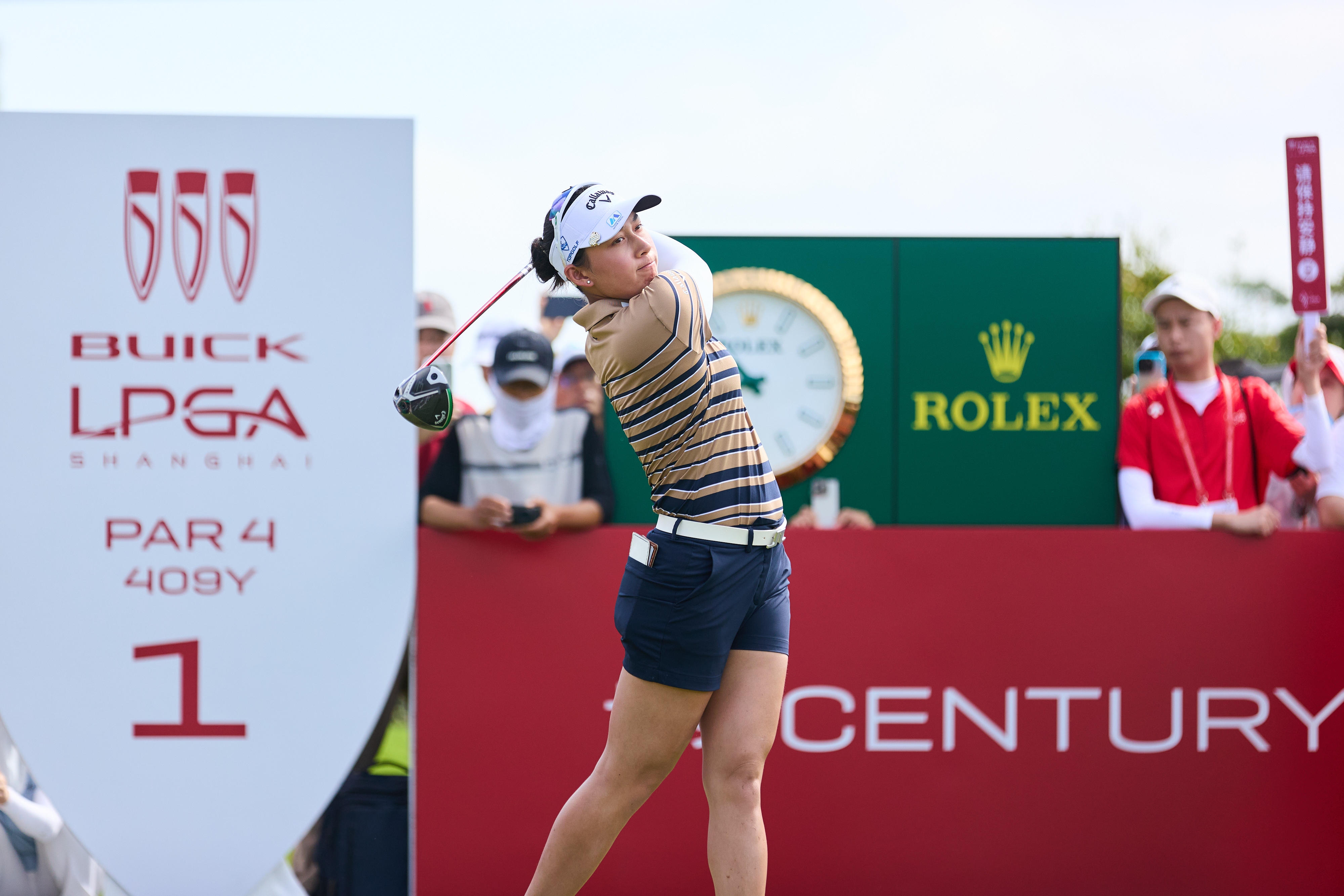 徐薇凌从上 徐薇凌从上